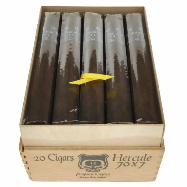 Asylum 13 Hercule - Box of 20