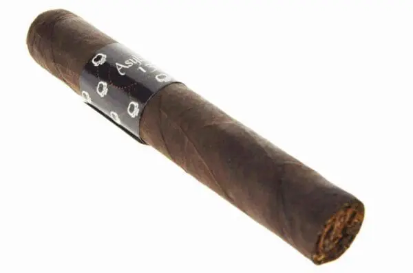 Asylum 13 Robusto Cigar - Image 2