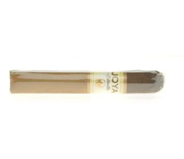 Joya de Nicaragua Cabinetta Robusto Cigar