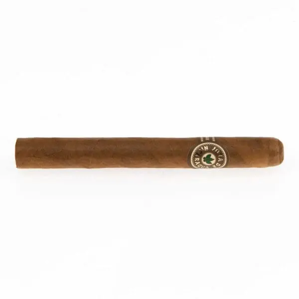 Joya de Nicaragua Clasico Seleccion B Cigar - Image 2