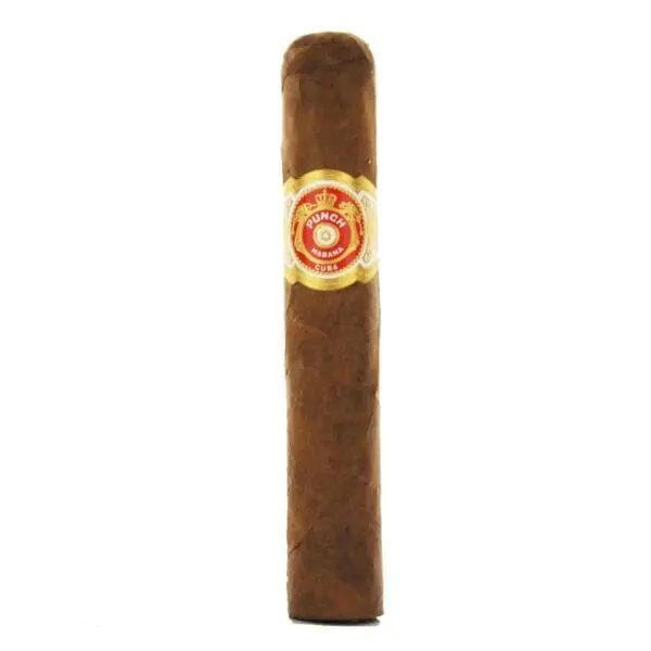 Punch Short de Punch Cigar