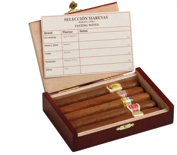 Seleccion Marevas Case - 5 Petit Corona Cigars - Image 2