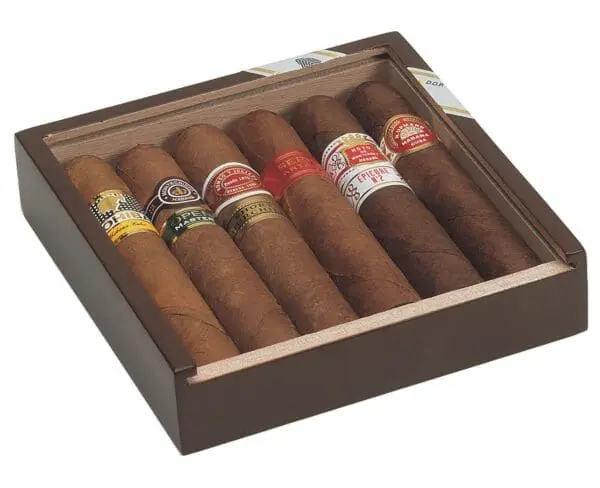 Seleccion Robusto Case of 5