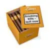 Zino Nicaragua Gordo - Box of 25