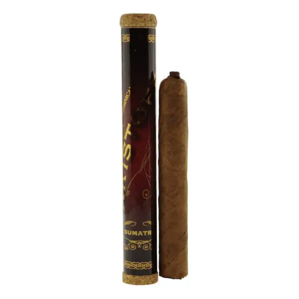 Kristoff Robusto Tubed Sumatra cigar