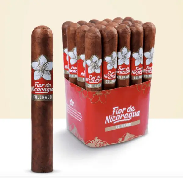 Flor de Nicaragua Robusto Bundle of 20