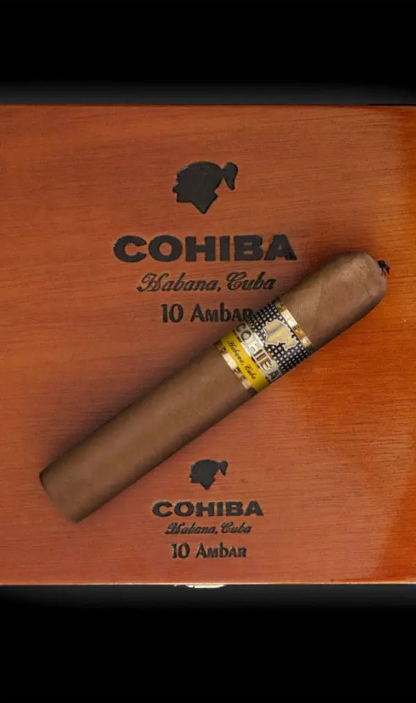 Cohiba Ambar