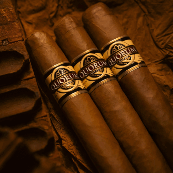 Quorum Shade Short Robusto Cigar