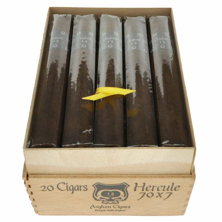 Asylum 13 Hercule - Box of 20