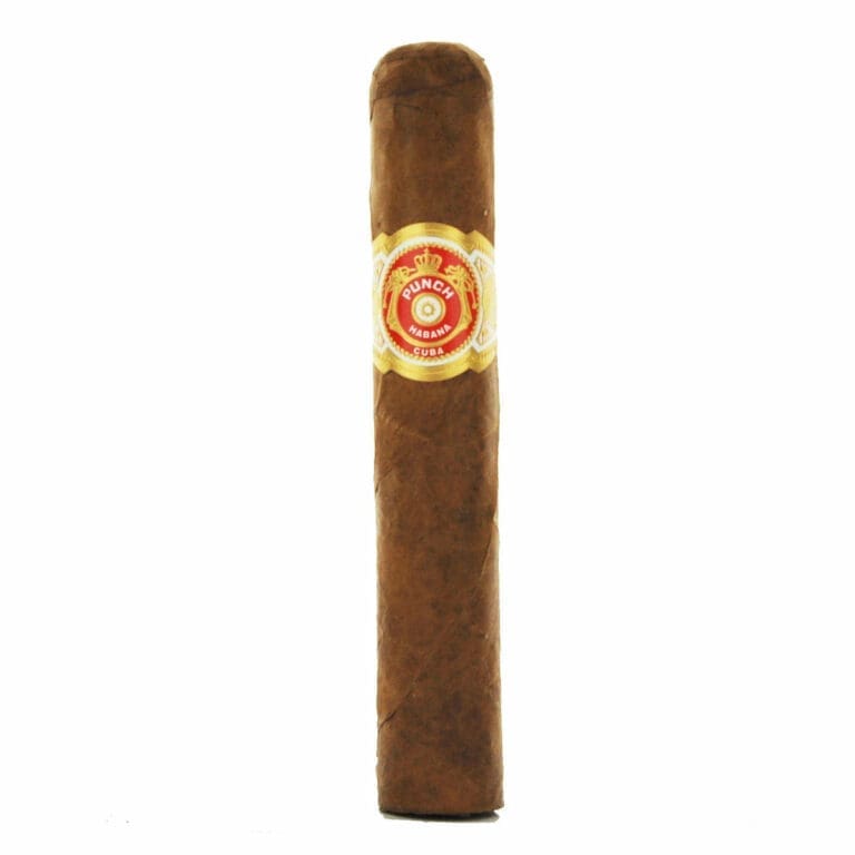 Punch Short de Punch Cigar