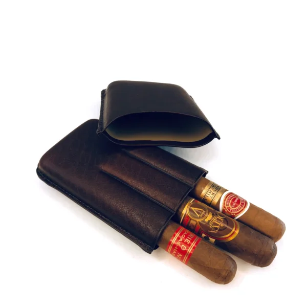 Artamis Brown Leather Cigar Case - fits 3 cigars