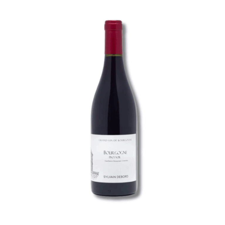 Sylvain Debord Bourgogne Pinot Noir 2022